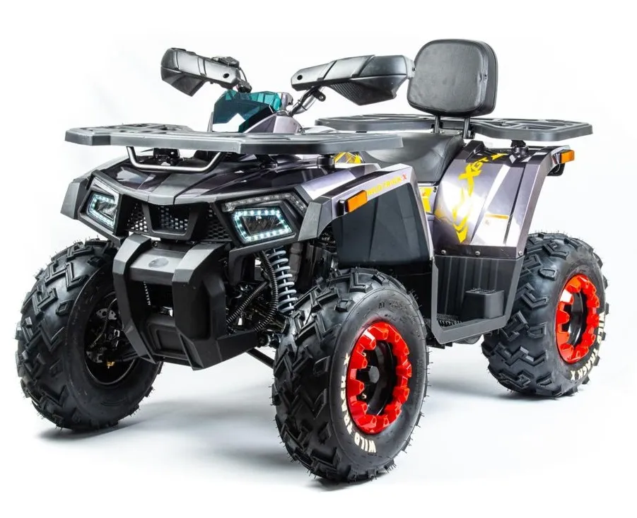 Квадроцикл MOTOLAND 200 Wild Track X PRO